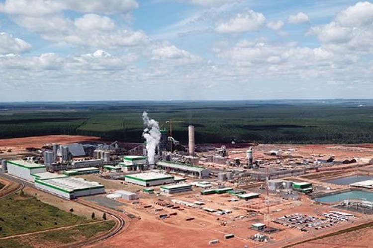 The LD Celulose paper mill in Indianópolis, Brazil, has an annual capacity of 500,000 tons and is one of the largest and most energy-efficient mills in the world.