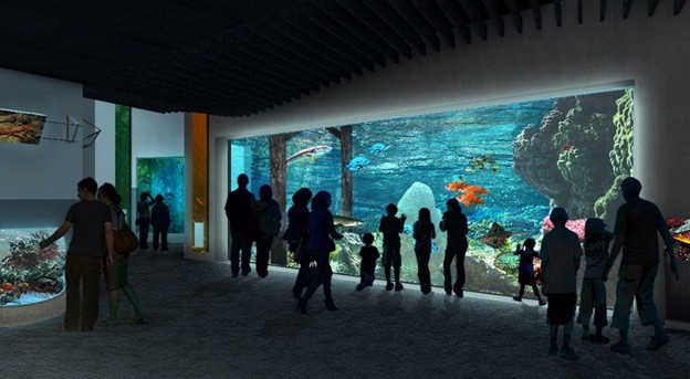 The stunning 275,000-gallon Baja Bay exhibit specified PENETRON ADMIX to ensure a waterproof concrete structure